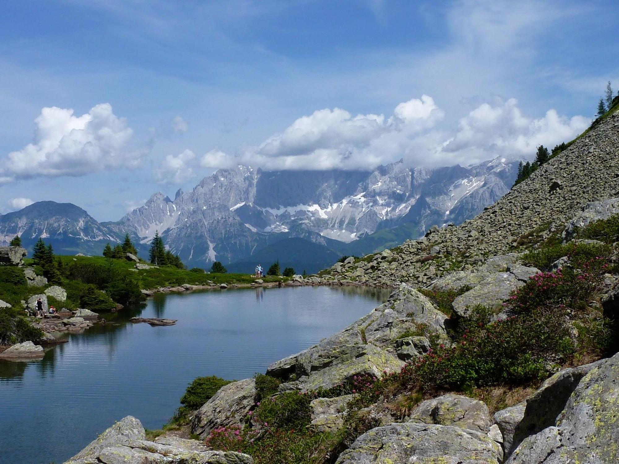 Frühstückspension Gsenger Ramsau am Dachstein Exterior foto